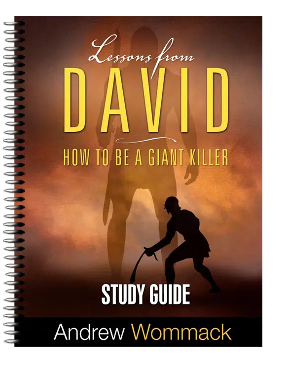Lessons From David - Study Guide