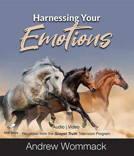 Harnessing Your Emotions - USB
